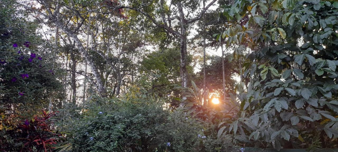 Le Farmhouse Munnar Anachal Экстерьер фото