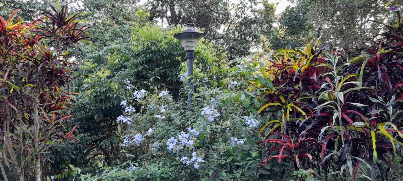 Le Farmhouse Munnar Anachal Экстерьер фото