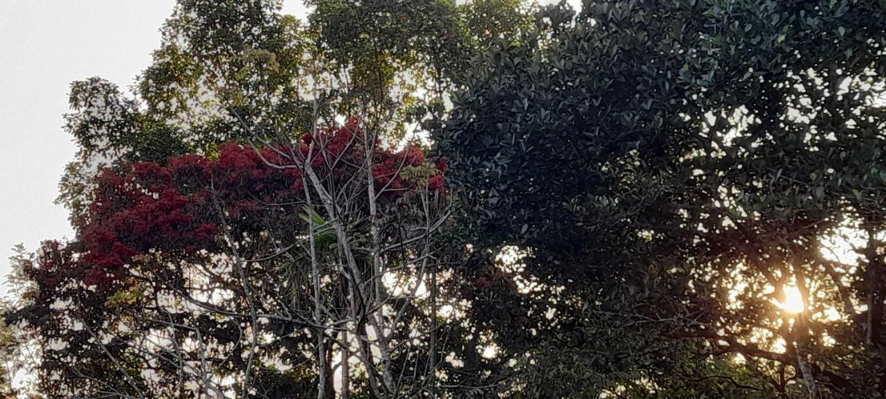 Le Farmhouse Munnar Anachal Экстерьер фото