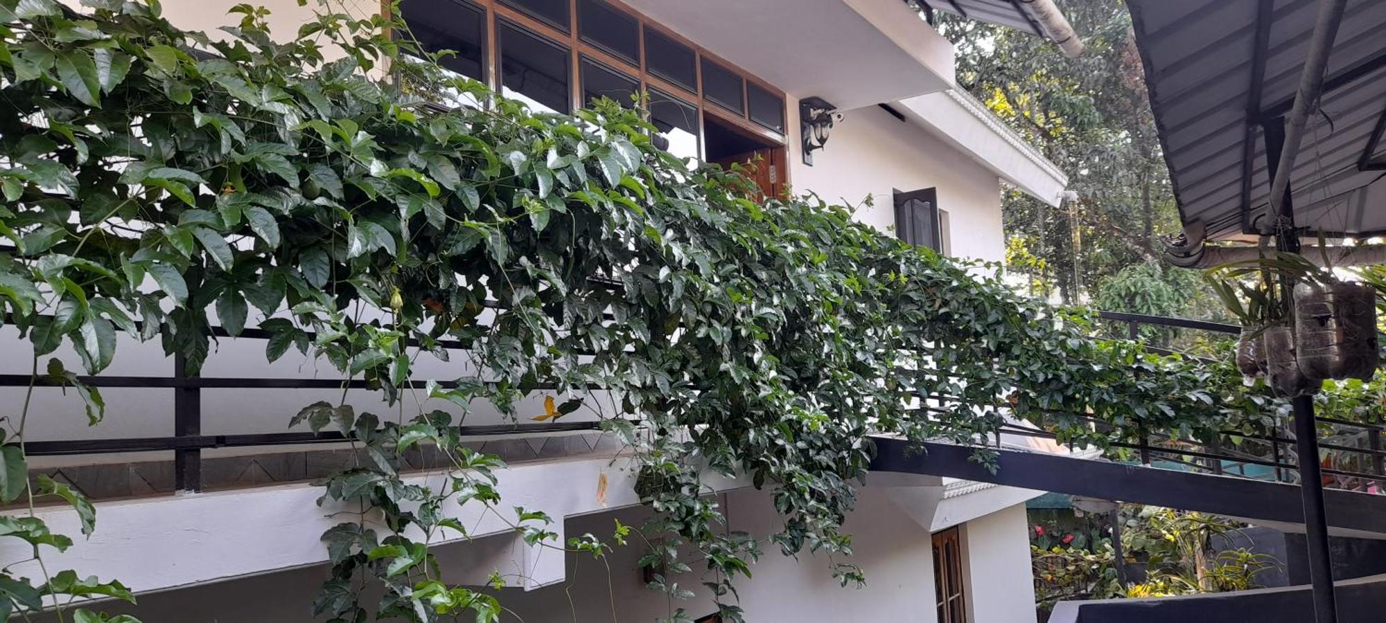 Le Farmhouse Munnar Anachal Экстерьер фото
