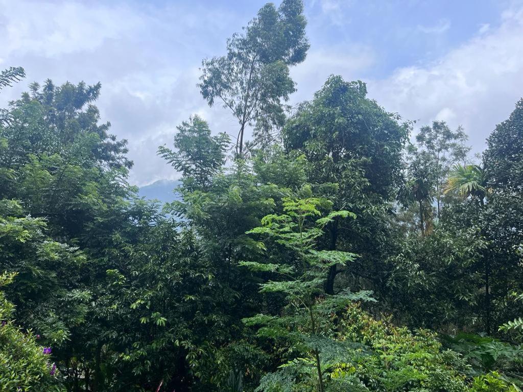Le Farmhouse Munnar Anachal Экстерьер фото