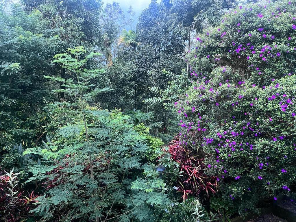 Le Farmhouse Munnar Anachal Экстерьер фото